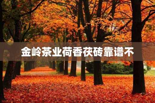 金岭茶业荷香茯砖靠谱不