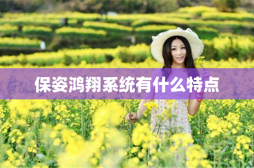 保姿鸿翔系统有什么特点