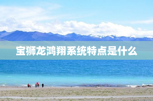宝狮龙鸿翔系统特点是什么