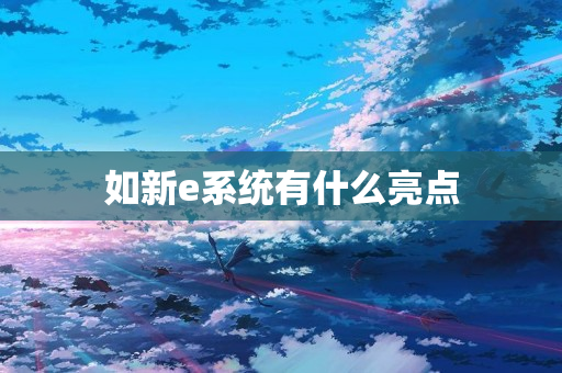 如新e系统有什么亮点