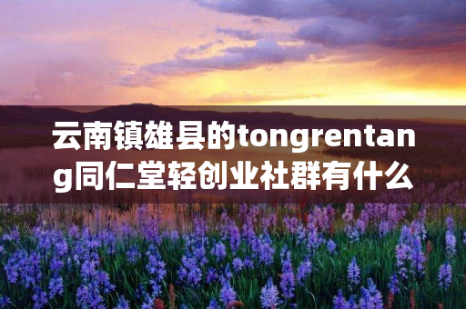 云南镇雄县的tongrentang同仁堂轻创业社群有什么特色