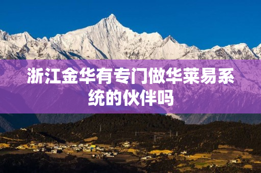 浙江金华有专门做华莱易系统的伙伴吗