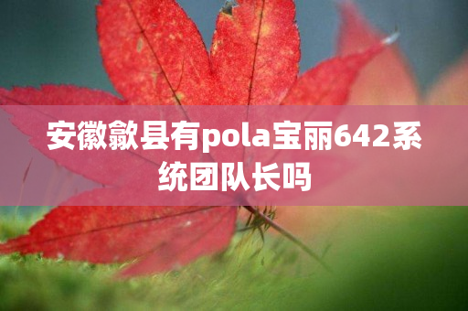 安徽歙县有pola宝丽642系统团队长吗