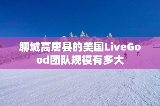 聊城高唐县的美国LiveGood团队规模有多大