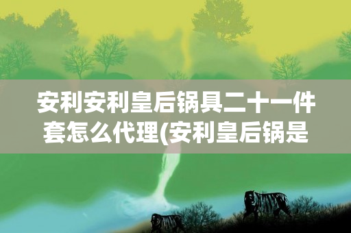 安利安利皇后锅具二十一件套怎么代理(安利皇后锅是什么材质)
