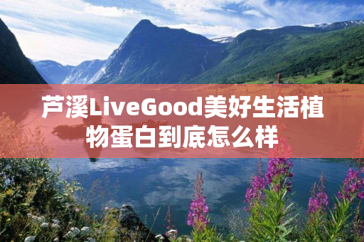 芦溪LiveGood美好生活植物蛋白到底怎么样