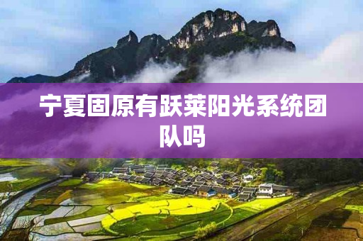宁夏固原有跃莱阳光系统团队吗