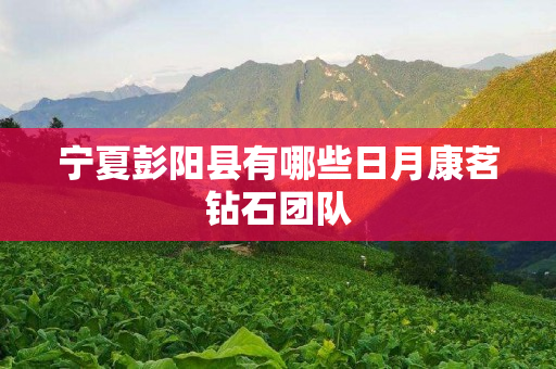 宁夏彭阳县有哪些日月康茗钻石团队