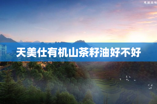 天美仕有机山茶籽油好不好