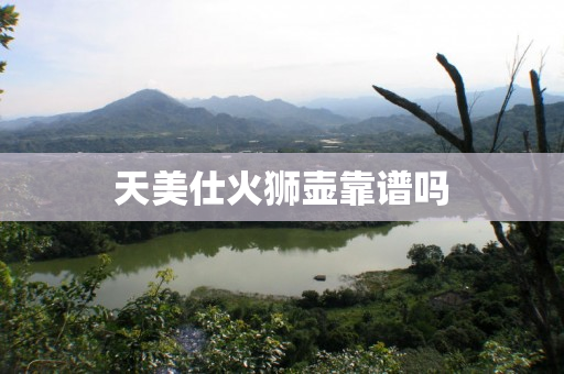 天美仕火狮壶靠谱吗