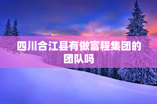 四川合江县有做富程集团的团队吗