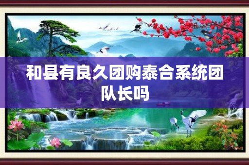 和县有良久团购泰合系统团队长吗