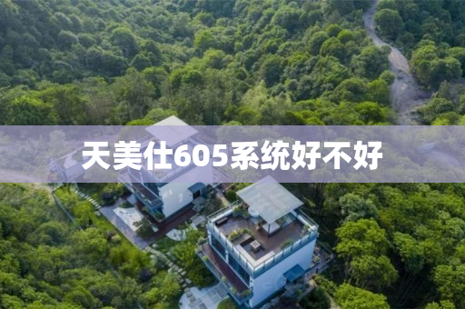 天美仕605系统好不好
