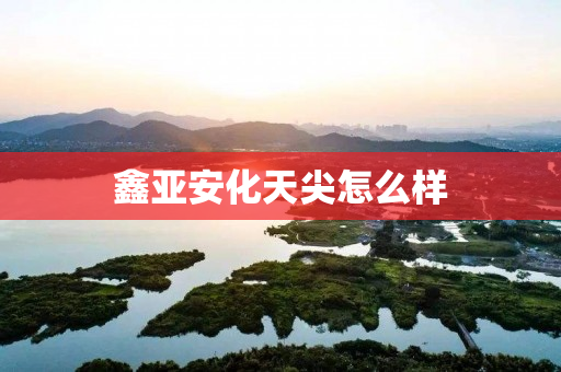鑫亚安化天尖怎么样