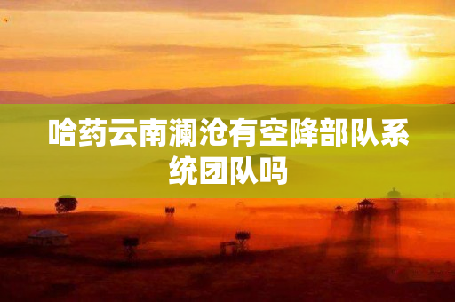 哈药云南澜沧有空降部队系统团队吗