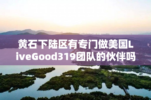 黄石下陆区有专门做美国LiveGood319团队的伙伴吗