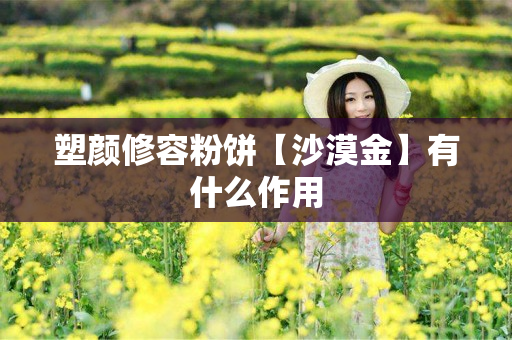 塑颜修容粉饼【沙漠金】有什么作用