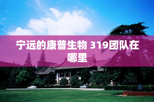 宁远的康普生物 319团队在哪里