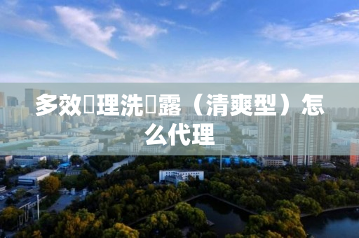 多效調理洗發露（清爽型）怎么代理