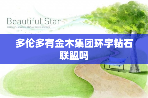 多伦多有金木集团环宇钻石联盟吗