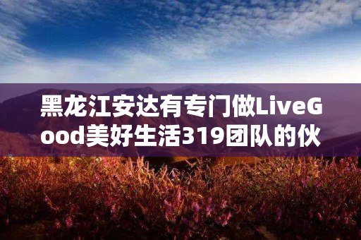 黑龙江安达有专门做LiveGood美好生活319团队的伙伴吗