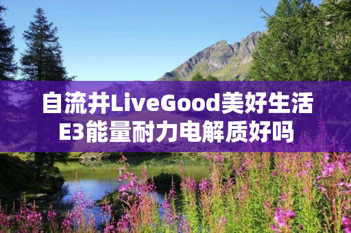 自流井LiveGood美好生活E3能量耐力电解质好吗