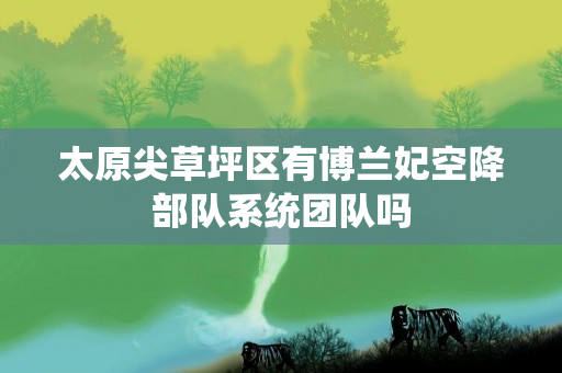 太原尖草坪区有博兰妃空降部队系统团队吗