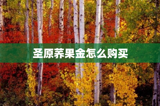 圣原荞果金怎么购买