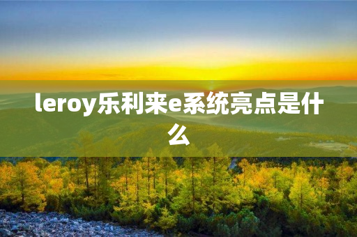 leroy乐利来e系统亮点是什么
