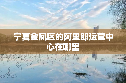 宁夏金凤区的阿里郎运营中心在哪里