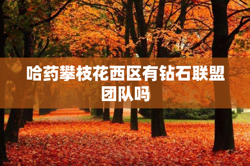 哈药攀枝花西区有钻石联盟团队吗