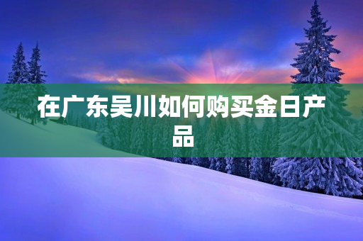 在广东吴川如何购买金日产品