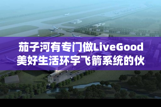 茄子河有专门做LiveGood美好生活环宇飞箭系统的伙伴吗