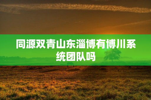 同源双青山东淄博有博川系统团队吗