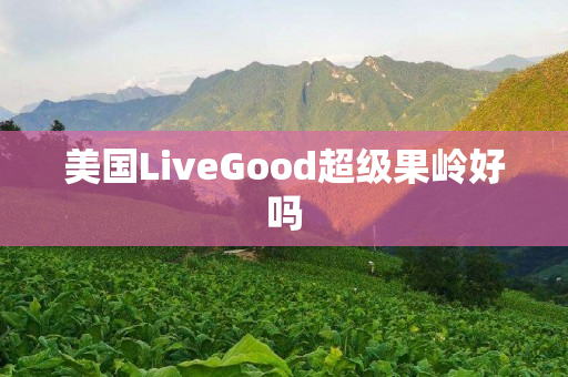 美国LiveGood超级果岭好吗