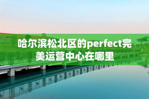 哈尔滨松北区的perfect完美运营中心在哪里