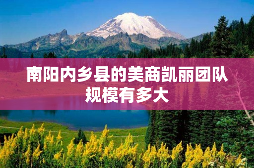 南阳内乡县的美商凯丽团队规模有多大