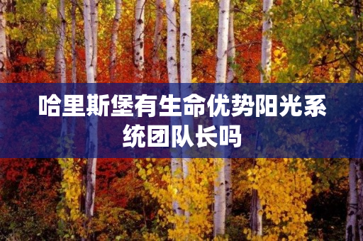哈里斯堡有生命优势阳光系统团队长吗