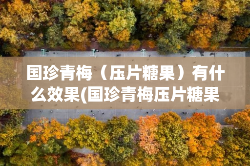 国珍青梅（压片糖果）有什么效果(国珍青梅压片糖果功效作用)