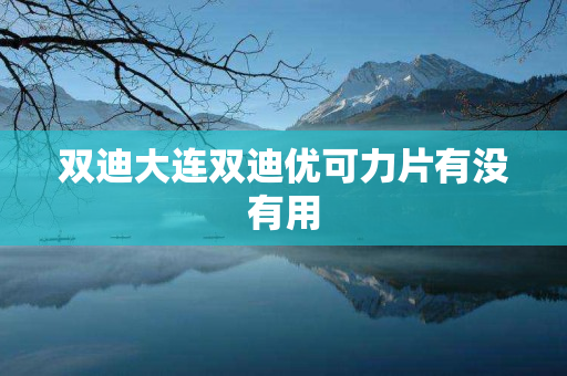 双迪大连双迪优可力片有没有用