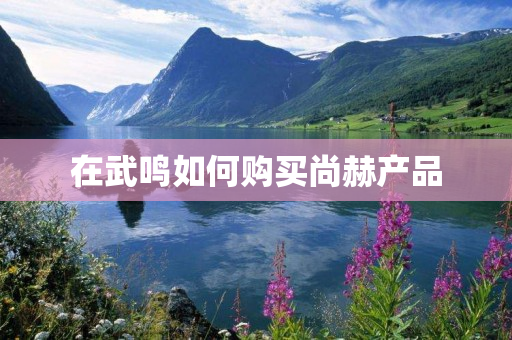 在武鸣如何购买尚赫产品