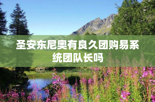 圣安东尼奥有良久团购易系统团队长吗