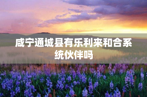 咸宁通城县有乐利来和合系统伙伴吗