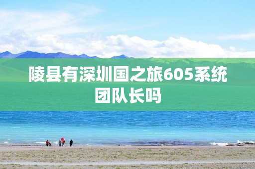 陵县有深圳国之旅605系统团队长吗