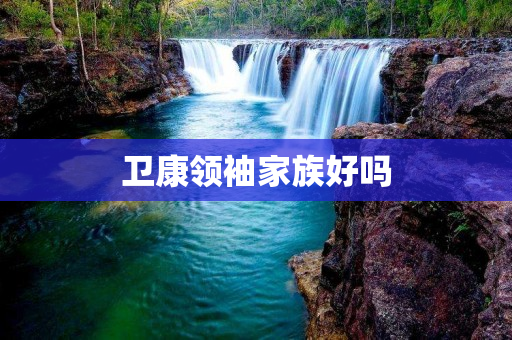 卫康领袖家族好吗