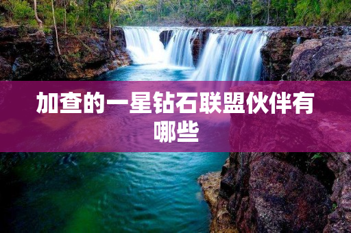 加查的一星钻石联盟伙伴有哪些