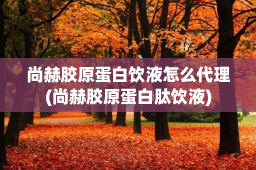 尚赫胶原蛋白饮液怎么代理(尚赫胶原蛋白肽饮液)