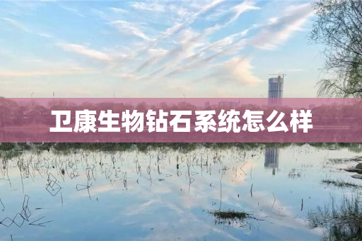 卫康生物钻石系统怎么样