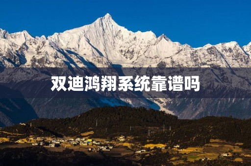 双迪鸿翔系统靠谱吗