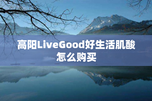 高阳LiveGood好生活肌酸怎么购买